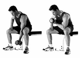 dumbell concentration curls