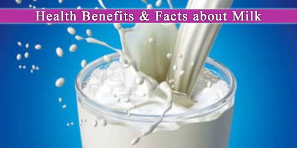 The Benefits of Drinking Cow Milk
